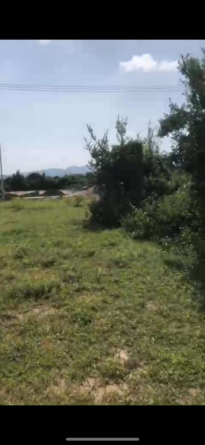 Đất nền Cam Phúc Nam 535m² giá 2.5 tỷ - Sổ đỏ chính chủ, vị trí đẹp!