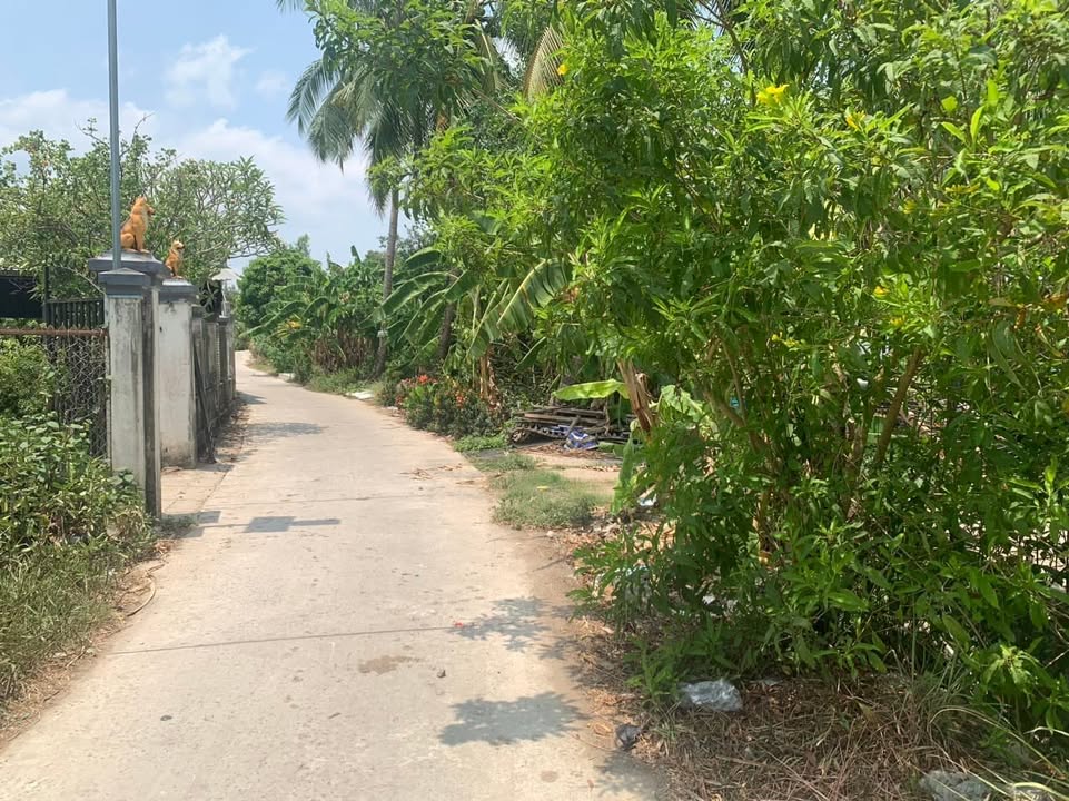 Đất thổ cư 424,8m² tại Vĩnh Hòa Phú, Châu Thành - Giá chỉ 540 triệu!