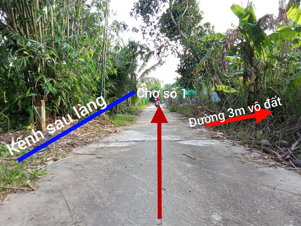 Đất nền 100m² tại ấp Hòa An, Châu Thành, Kiên Giang - Giá chỉ 270 triệu