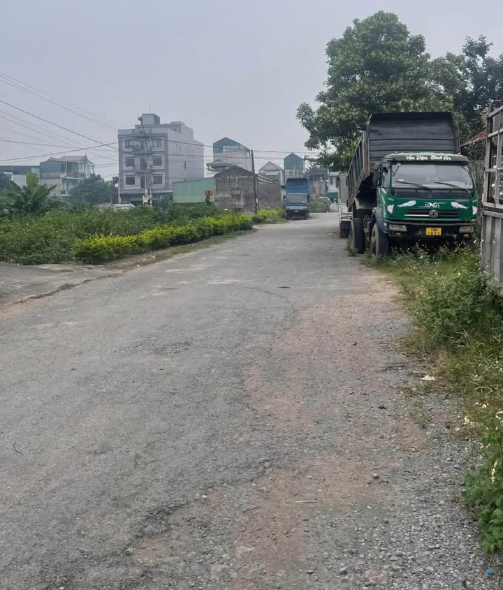 Đất nền Ninh Phúc, Hoa Lư 100m² giá 2xx triệu - Hướng Nam, vị trí tiềm năng!