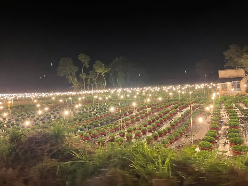 Đất mặt tiền Bình Hòa 01 100m² giá thỏa thuận - Cơ hội đầu tư hiếm có!