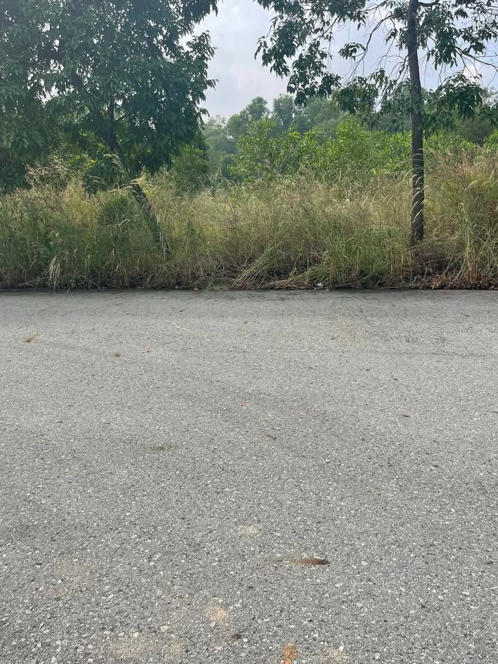 Đất nền Bến Cát Bình Dương 150m² giá 1.45 tỷ - Cơ hội đầu tư hấp dẫn!