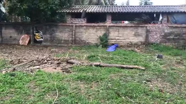 Đất nền Tứ Mỹ Tam Nông 200m² - 2 mặt tiền, vị trí đắc địa!