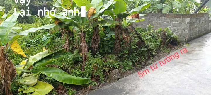 Đất nền Trường Thành, An Lão, Hải Phòng 124m² giá 1.4 tỷ - Bán gấp, chính chủ!