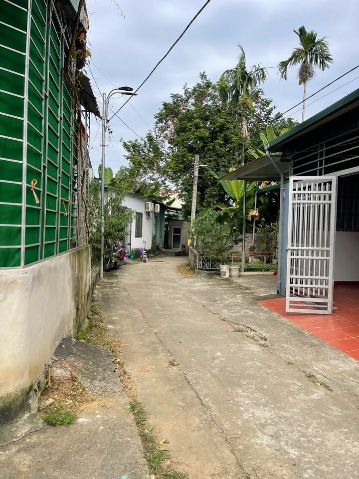 Đất thổ cư Tổ dân phố 16 Minh Xuân 82m² giá 1.4 tỷ - Vị trí đẹp, đầu tư sinh lời!