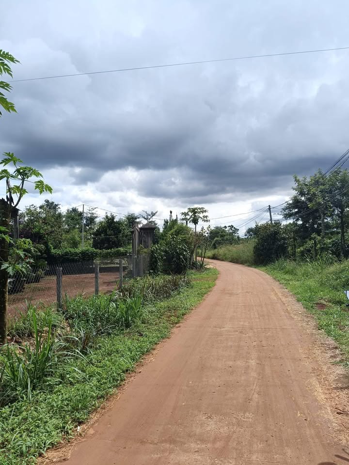 Đất vườn Đắk Wer 16,800m² giá 950 triệu - Cơ hội đầu tư tuyệt vời!