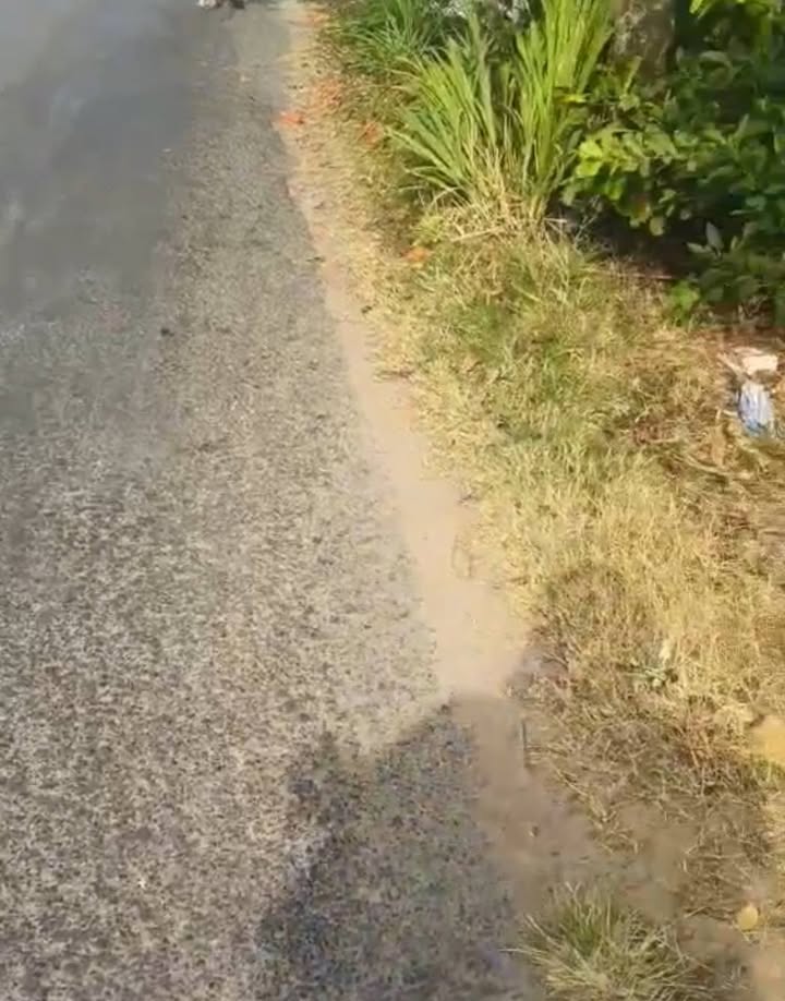 Đất ao 6325m² tại xã Mỹ Long, huyện Long Hồ - Giá chỉ 570 triệu!