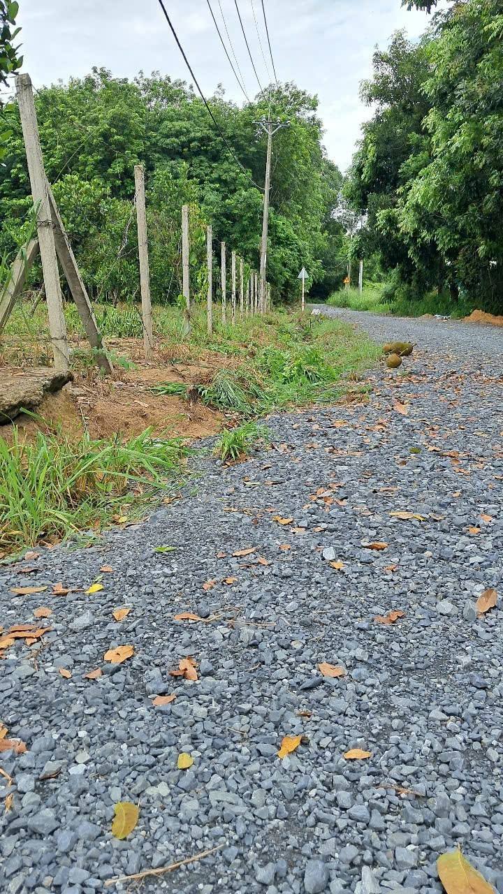 Đất thổ cư An Nhơn Tây 1.273m² giá 2.4 tỷ - Mặt tiền đường Nguyễn Văn Tiệp!