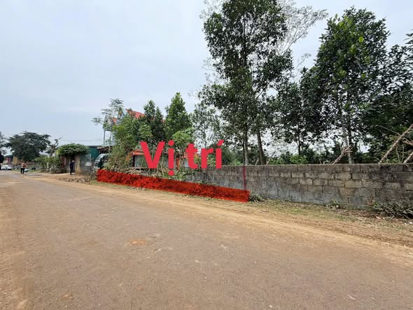 Đất nền dự án tại Thị trấn Sao Vàng, Thanh Hóa 130m² giá 700 triệu - Đầu tư tiềm năng sinh lời!