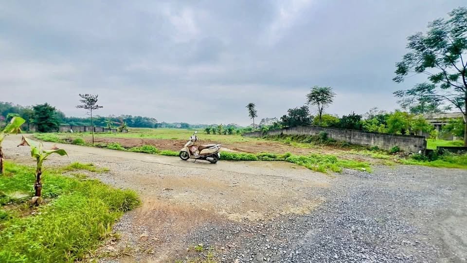 Đất thổ cư Nhật Tiến, Cẩm Khê 115m² giá chỉ 200 triệu - Cơ hội đầu tư sinh lời!