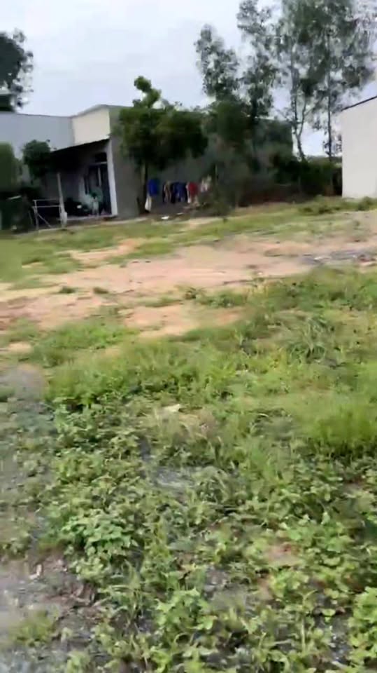 Đất nền Phú Hội Nhơn Trạch 110m² giá 3 tỷ - Cơ hội đầu tư sinh lời