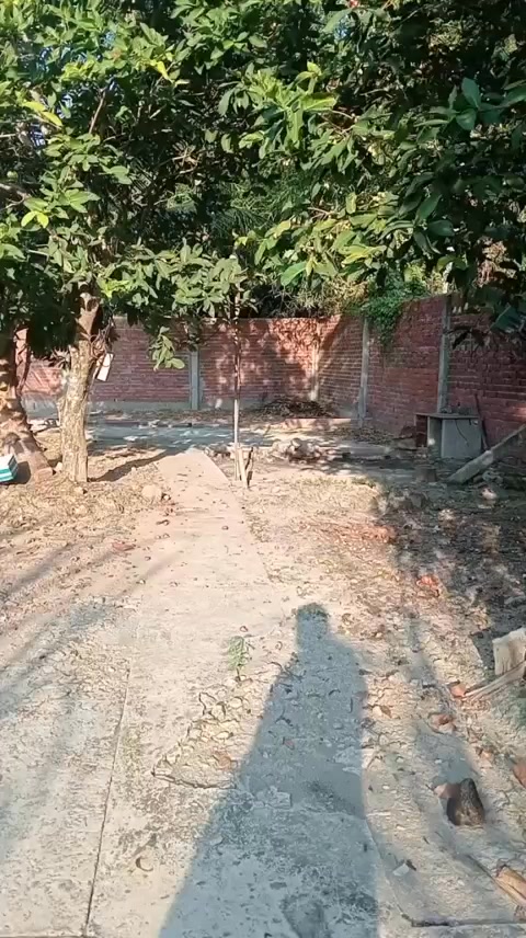 Đất vườn 4.300m² tại Phước Trinh, Long Hồ - Giá chỉ 4.3 tỷ, cơ hội đầu tư tốt!