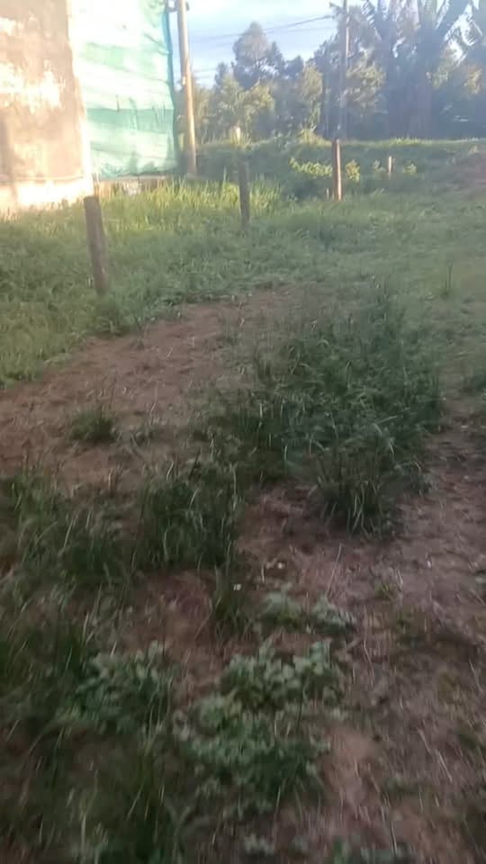 Đất nền 1400m² xã Vĩnh Bình, Chợ Lách giá 7.5 tỷ - Tiềm năng kinh doanh lớn!