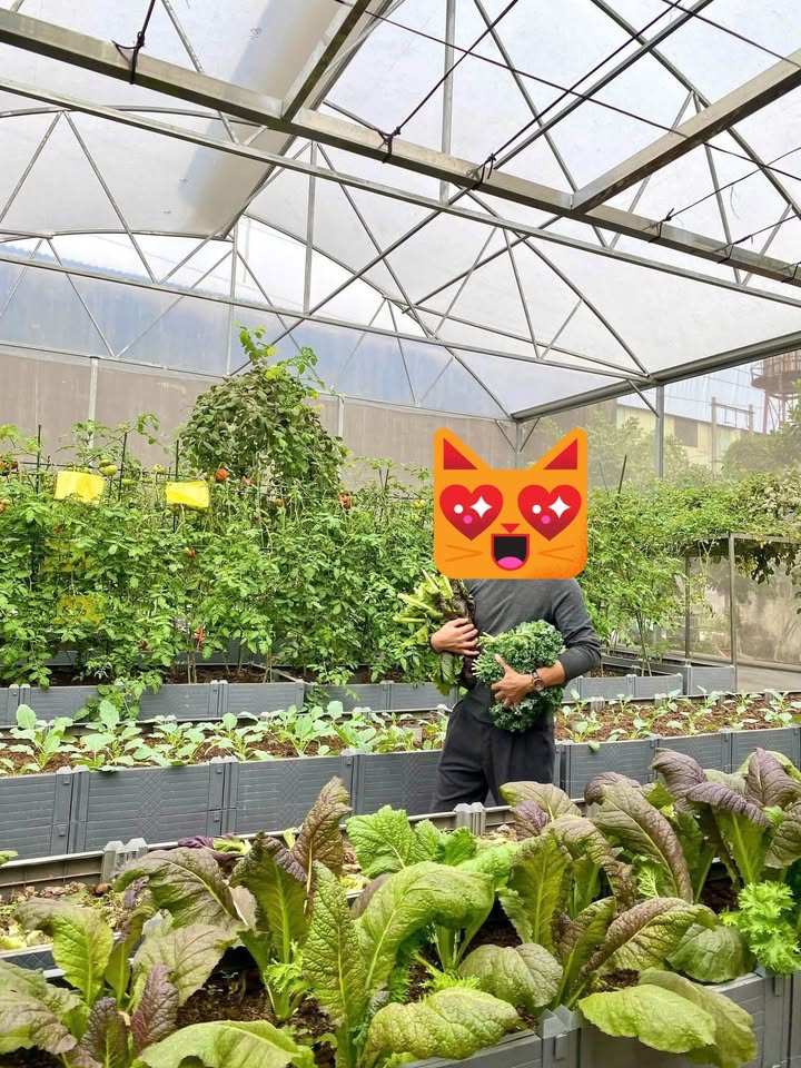 Đất vườn 300m² Làng Yên Mỹ, Thanh Trì chỉ 600 triệu - Sổ đỏ 50 năm