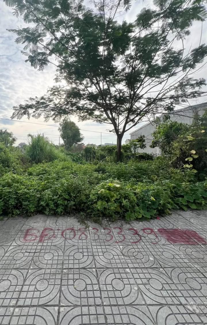 Đất mặt tiền Trần Quang Khải, Ninh Sơn 108m² - Vị trí kinh doanh tiềm năng!