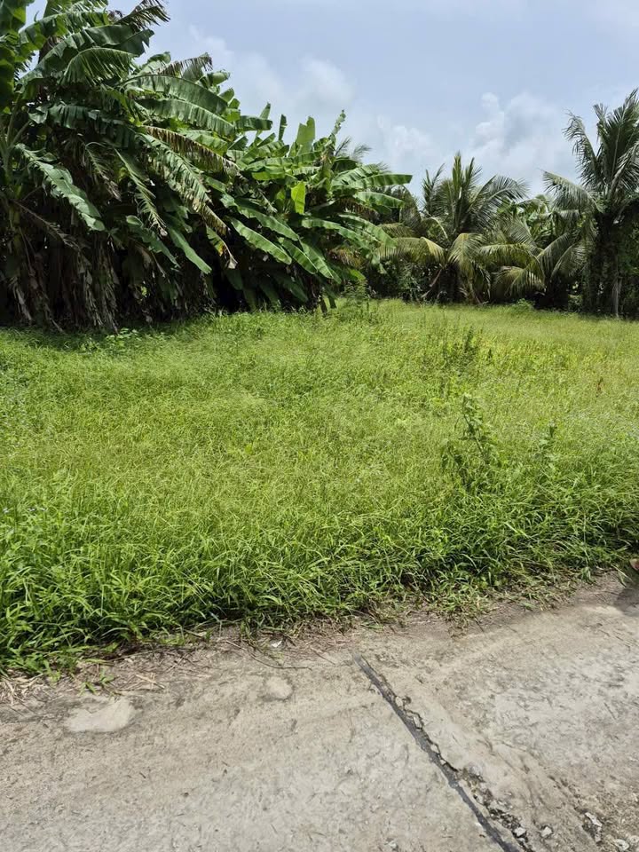 Đất ruộng 3082m² tại ấp Tà Keo Ngọn, Rạch Giá - Giá chỉ 1.296 tỷ VND