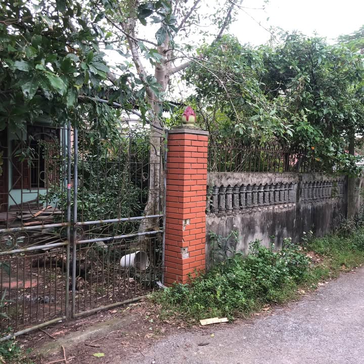 Đất mặt đường Duyên Hải 262m² giá 8.16 tỷ - Đầu tư lý tưởng gần biển!