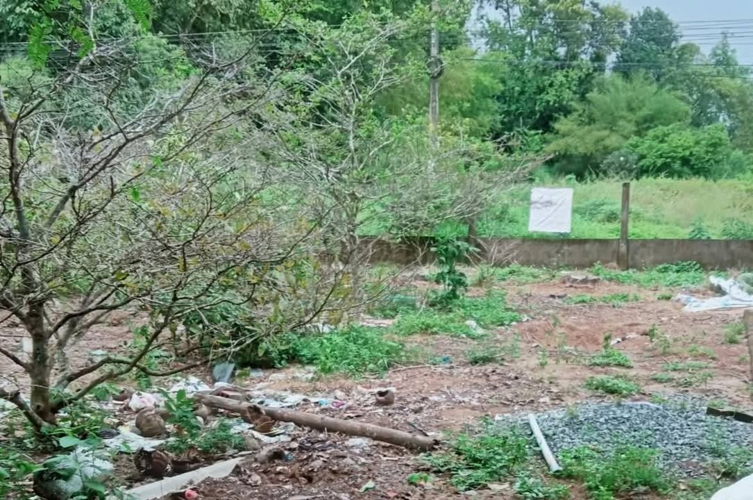 Bán đất mặt tiền HL 12, xã Long Sơn, huyện Cầu Ngang - 500m² giá 550 triệu - Đầu tư sinh lời ngay!