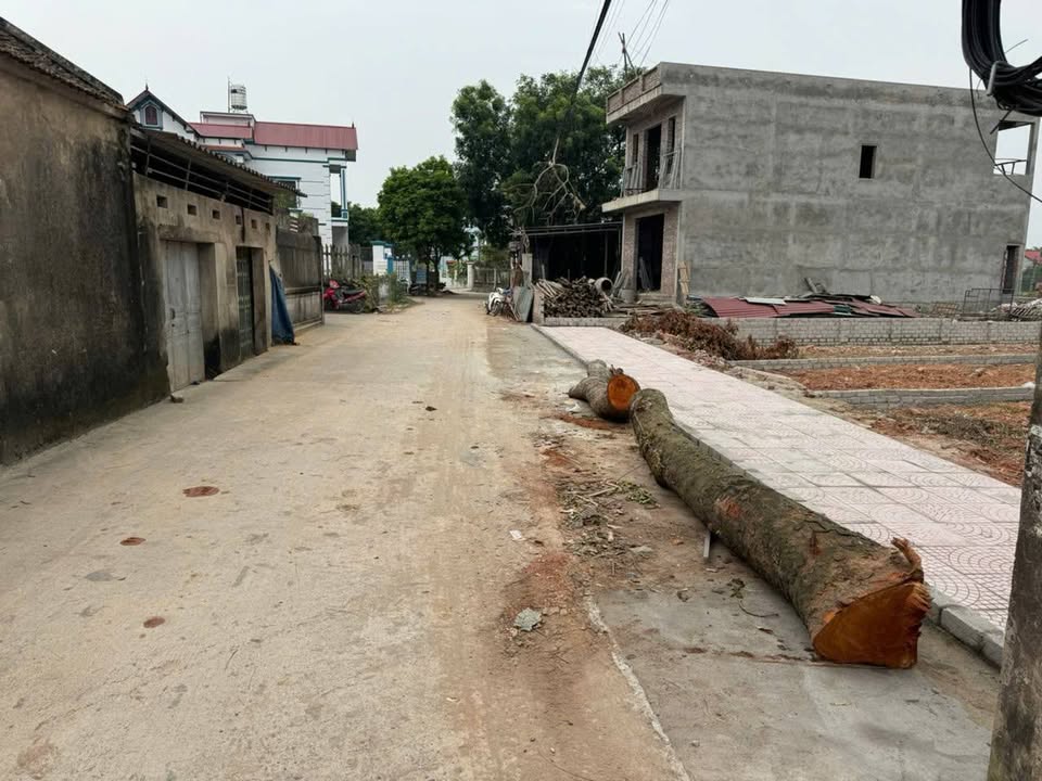 Đất nền Đoan Bái Hiệp Hòa 135m² giá chỉ 1 tỷ - Cơ hội đầu tư không thể bỏ qua!