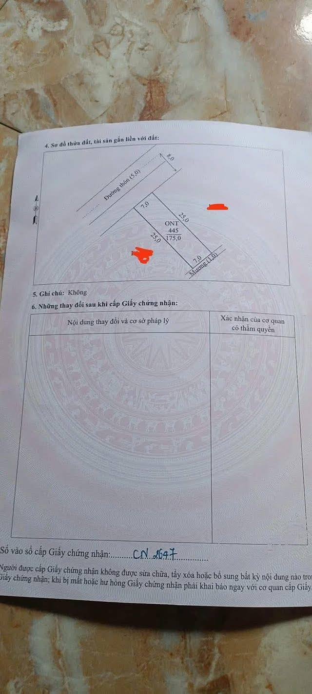 Đất nền Trường Trung, Nông Cống 175m² giá 600 triệu - Gần trường và ủy ban!