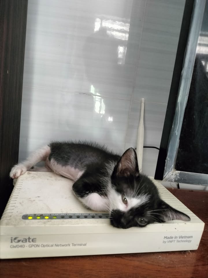 Bán đất có nhà tại xã Suối Cao, Xuân Lộc 2538m² - Đường xe hơi, mặt tiền rộng rãi!