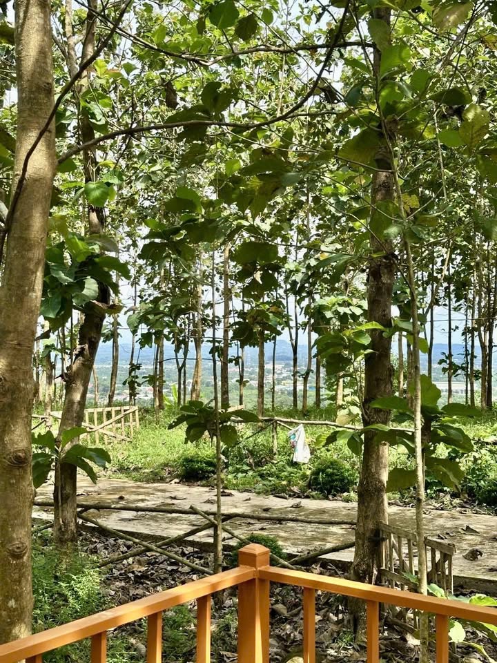 Đất vườn La Ngà 1300m² giá 850 triệu - Sổ đỏ chính chủ, view hồ lãng mạn!