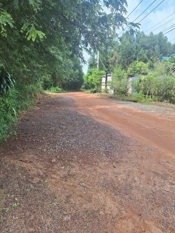 Nhà vườn cho thuê tại ấp Tân Hiệp 5, xã Phước Thái 4000m² - Giá chỉ 3 triệu/tháng!