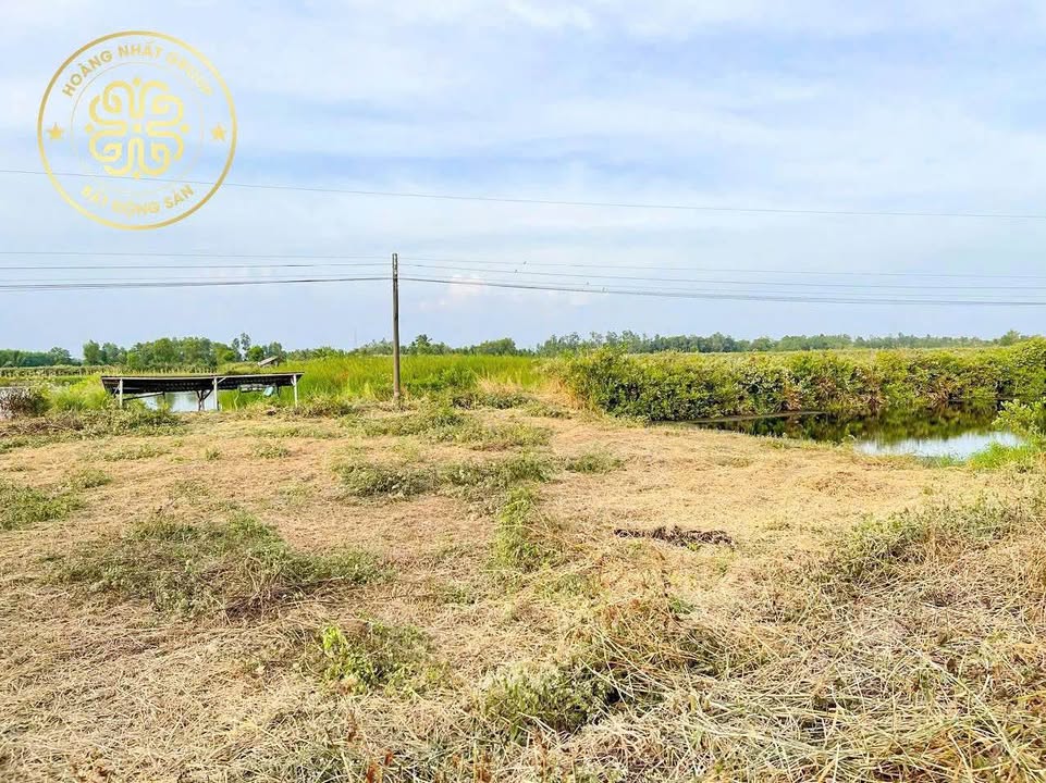 Đất nền thổ cư An Xuyên, Cà Mau 130m² giá 320 triệu - Đầu tư sinh lời ngay!