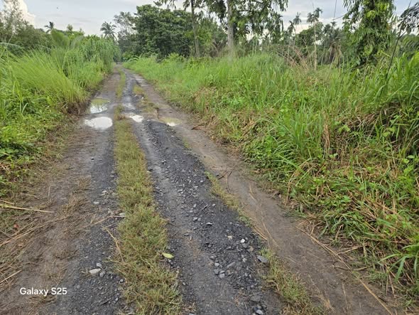 Bán đất nền 1017m² tại đường Bùi Công Trừng, xã Đông Thạnh, Hóc Môn - Giá chỉ 5.5 tỷ!