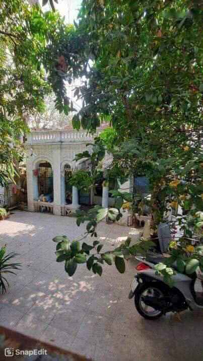 Biệt thự đẳng cấp tại trung tâm Q1, 262m² giá 62 tỷ - Sổ đỏ chính chủ!