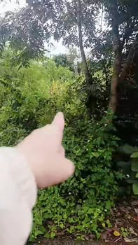 Đất thổ cư Ea Bhốk 340m² giá 470 triệu - Mặt tiền đường bê tông