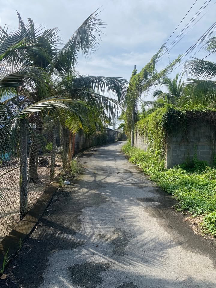 Đất thổ cư mặt tiền Đường Nhựa 80m² tại Đạo Thạnh Mỹ Tho - Giá tốt thương lượng!