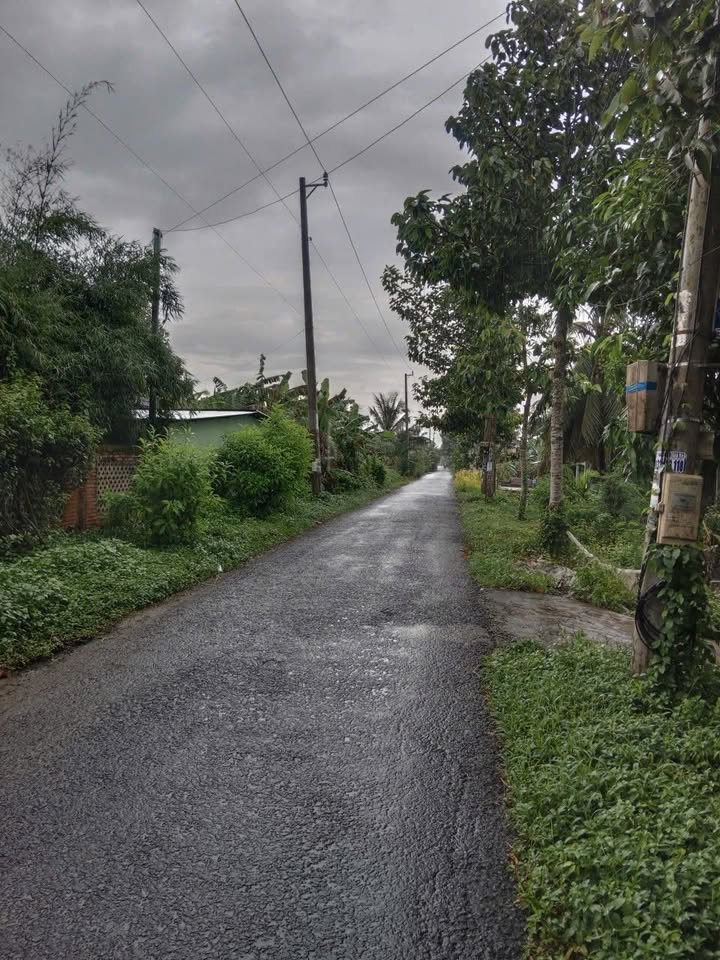 Đất thổ cư 1099.7m² mặt tiền đường Thạnh Hòa - Giá 7 tỷ, đầu tư sinh lời!