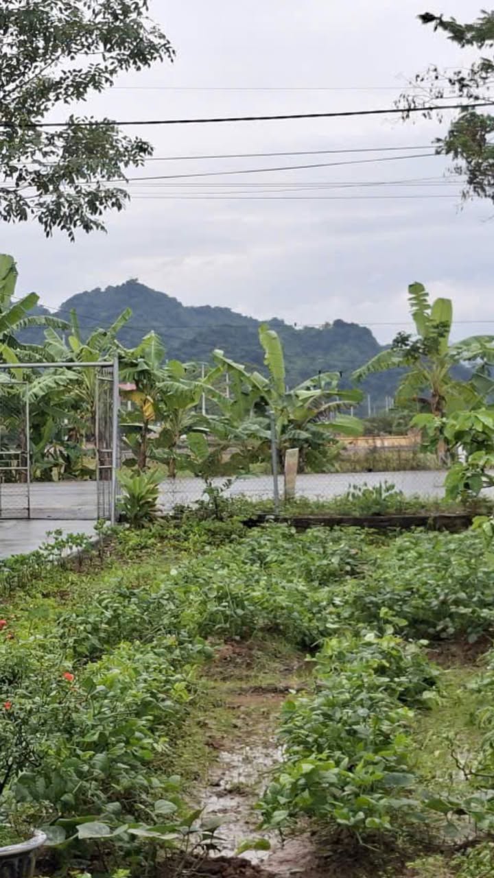 Đất thổ cư 140m² xã Hương Sơn, Mỹ Đức - Vị trí trung tâm, giá 7.5 tỷ!