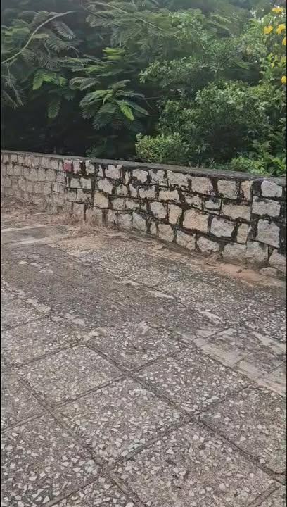 Đất mặt tiền đường Trần Phú, phường 5, TP. Vũng Tàu 776m² - Đầu tư sinh lời với vị trí đắc địa!