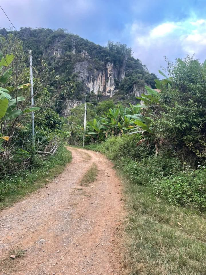 Đất nền 200m² tại Chiềng Sinh, Sơn La chỉ 200 triệu - Cơ hội đầu tư tuyệt vời!