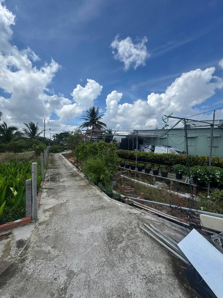 Đất nền 1000m² Tân Quy Đông, Sa Đéc - Giá chỉ 1 tỷ, thương lượng!