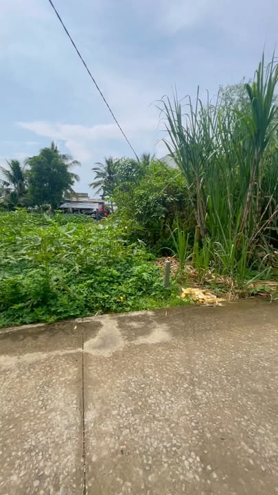 Đất thổ cư Thới Đông, Cờ Đỏ, Cần Thơ 185m² - Sổ hồng chính chủ, công chứng liền!