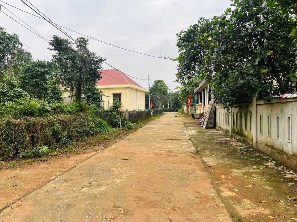 Đất nền Cửa Tùng, Vĩnh Linh 279m² giá chỉ 200 triệu - Đầu tư sinh lời ngay!