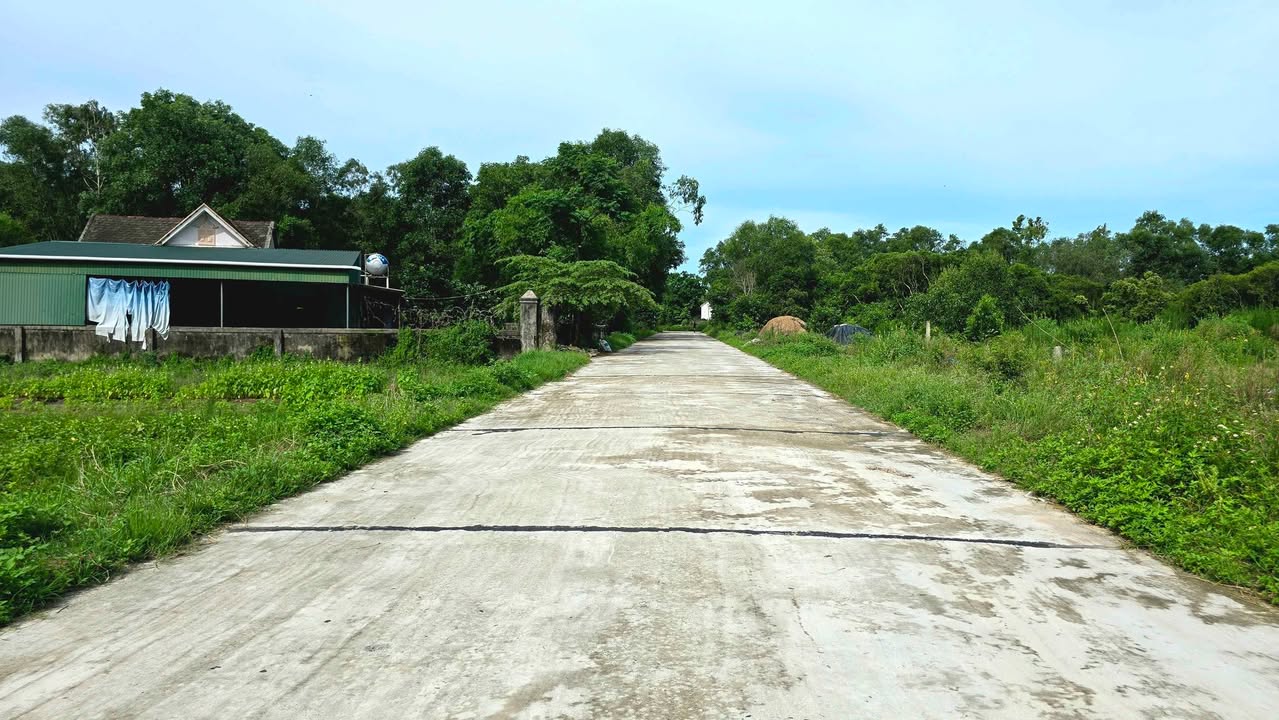 Đất thổ cư Thôn Bắc Dinh - Thạch Trị 350m² giá 1.2 tỷ - Sổ hồng chính chủ!