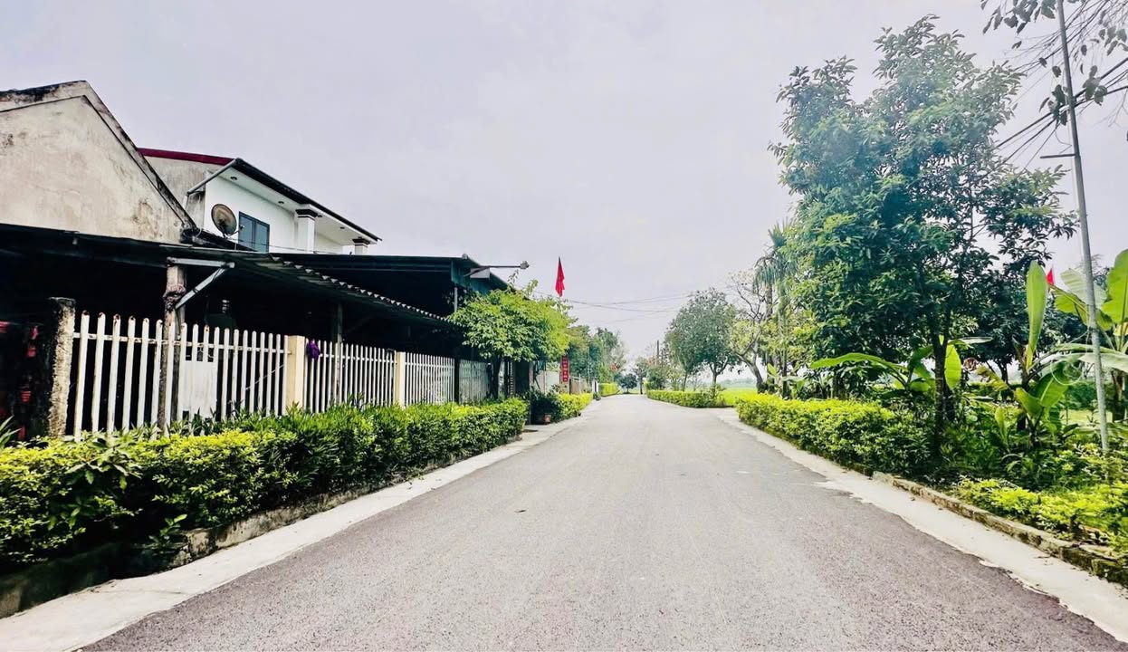 Bán đất thổ cư thôn Đông Nam – Xã Thạch Bình 181m² giá tốt - Lô góc 2 mặt tiền siêu thoáng!