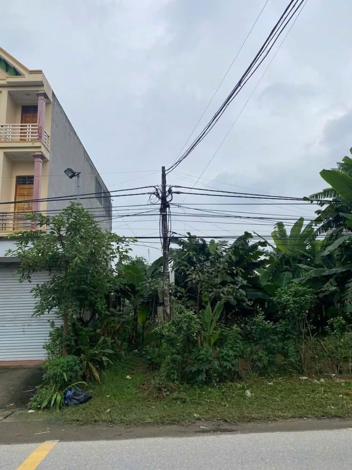 Đất thổ cư 120m² mặt tiền Trục chính 307 Tân Lập - Đường lớn, không cột điện!