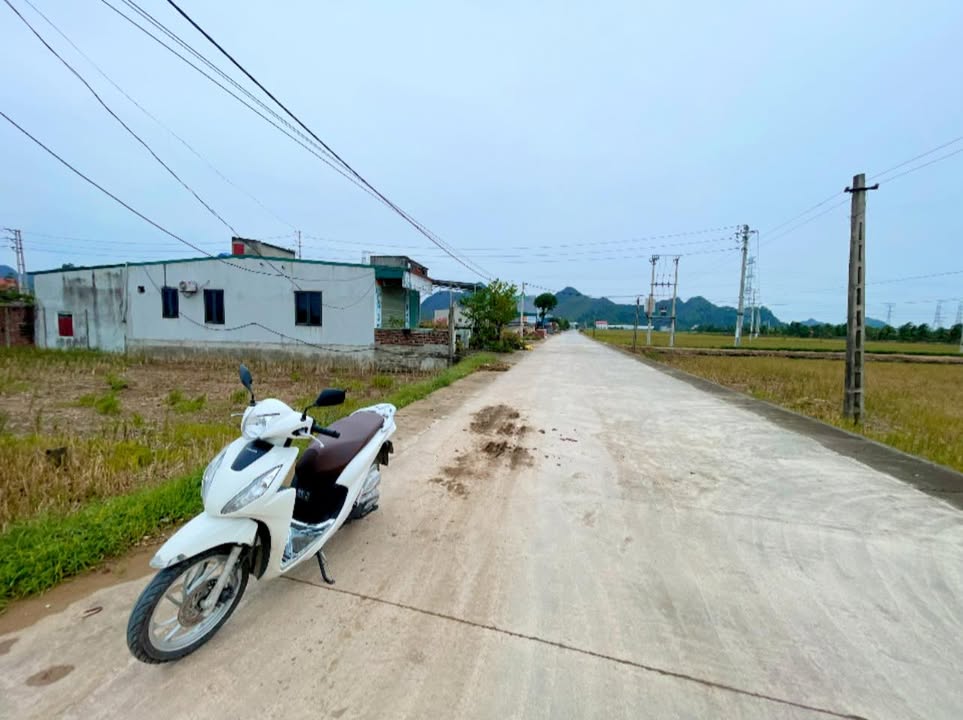 Đất nền Nga An 100m² giá 800 triệu - Hướng Đông, vị trí đẹp!