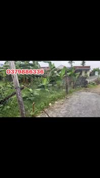 Đất thổ cư Đa Lộc Hậu Lộc 156m² giá 1 tỷ - Cơ hội đầu tư hiếm có!