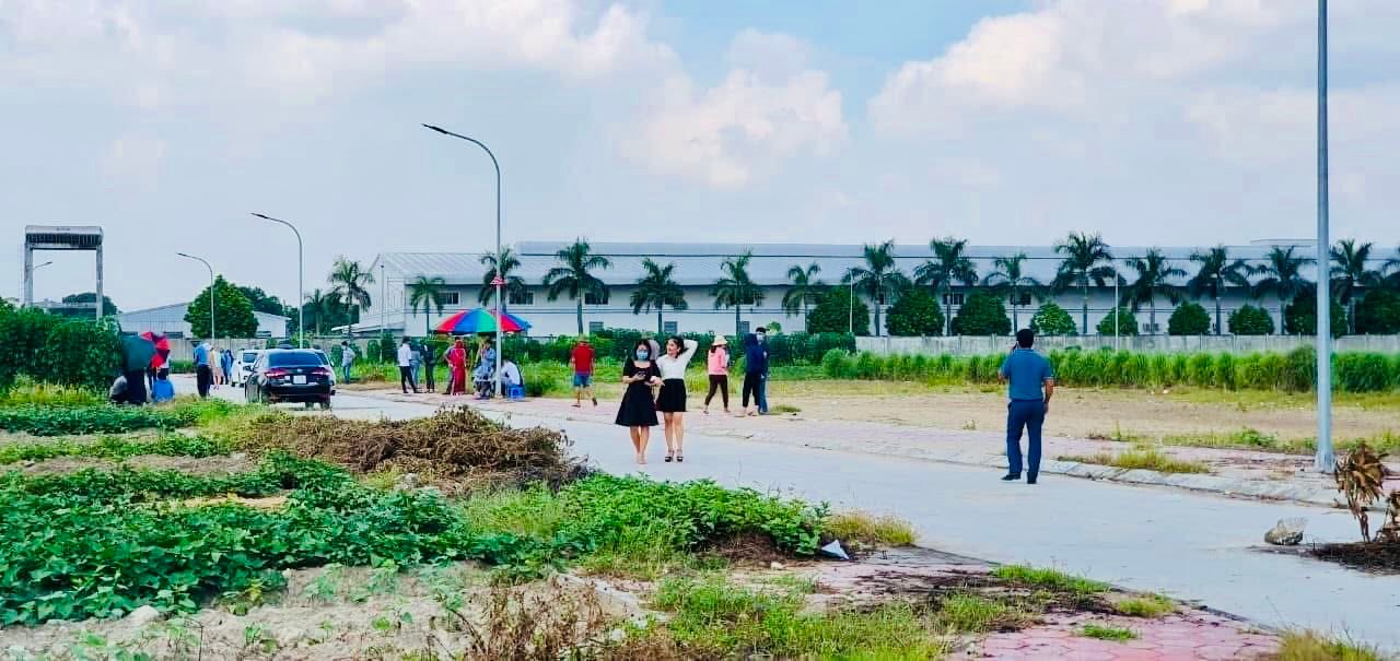 Đất Biệt Thự Phúc Thành Kim Thành 150m² giá chỉ 1x triệu/m² - Hướng Tây Nam, giao thông thuận tiện!