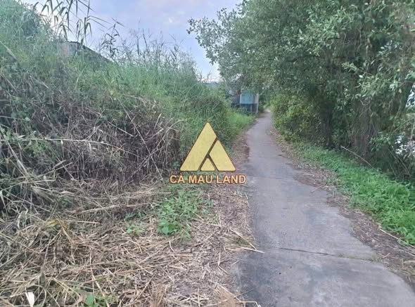 Đất nền Cà Mau 360m² giá 400 triệu - Sổ đỏ chính chủ, đầu tư sinh lời!