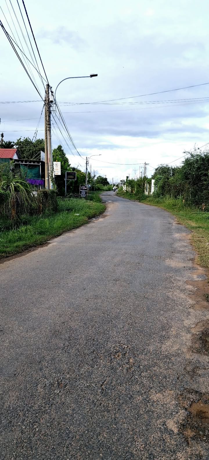 Đất thổ cư 1000m² + 1600m² cây trồng tại Hàm Liêm giá 2,3 tỷ - Cơ hội đầu tư tuyệt vời!