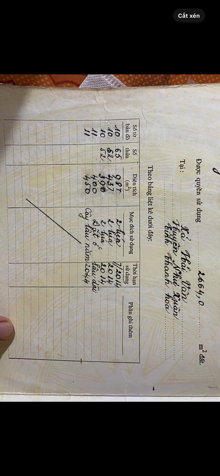 Đất nền Bến Sung Như Thanh 1200m² giá 2.5 tỷ - Đầu tư sinh lời ngay!