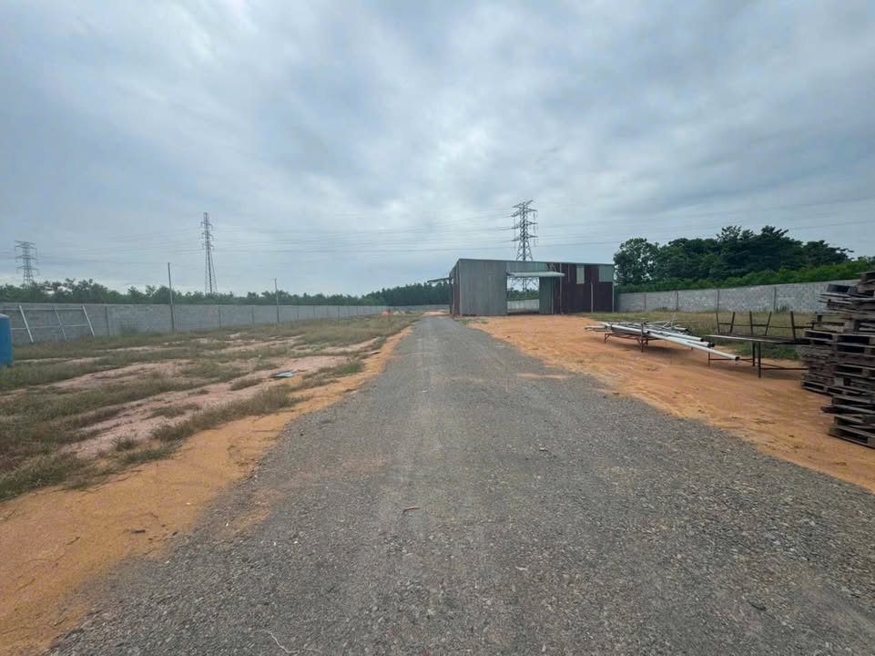 Đất nền 8 sào Tam Phước, Biên Hòa, Đồng Nai - Giá rẻ chỉ 23 tỷ, đầu tư sinh lời!