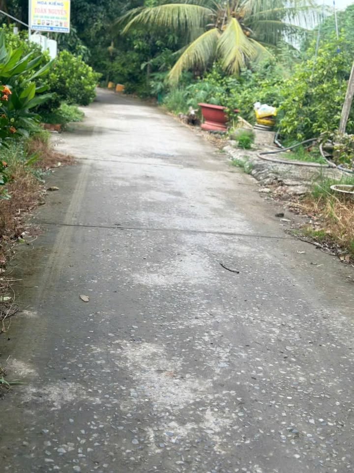 Đất nền xã Tân Nghĩa, huyện Cao Lãnh 1632m² giá 1,3 tỷ - Đầu tư sinh lời ngay!